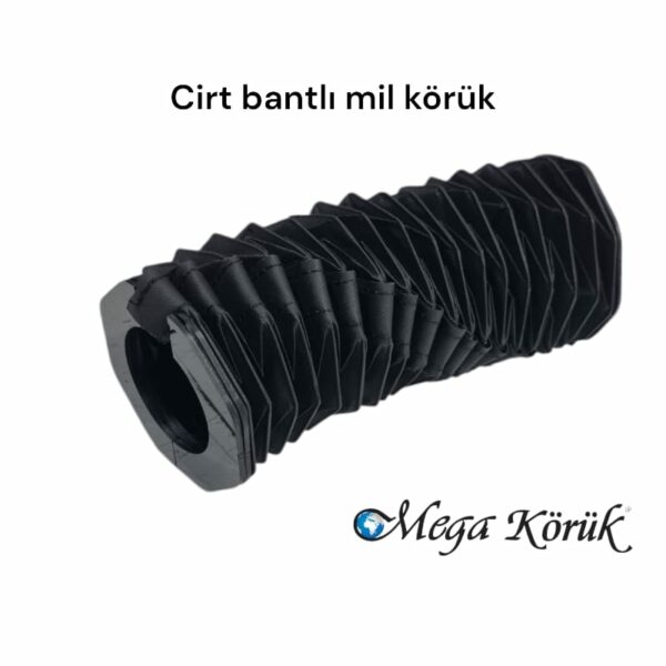 Mil Körükler - Görsel 4