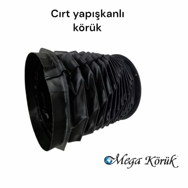 Mil Körükler - Görsel 7